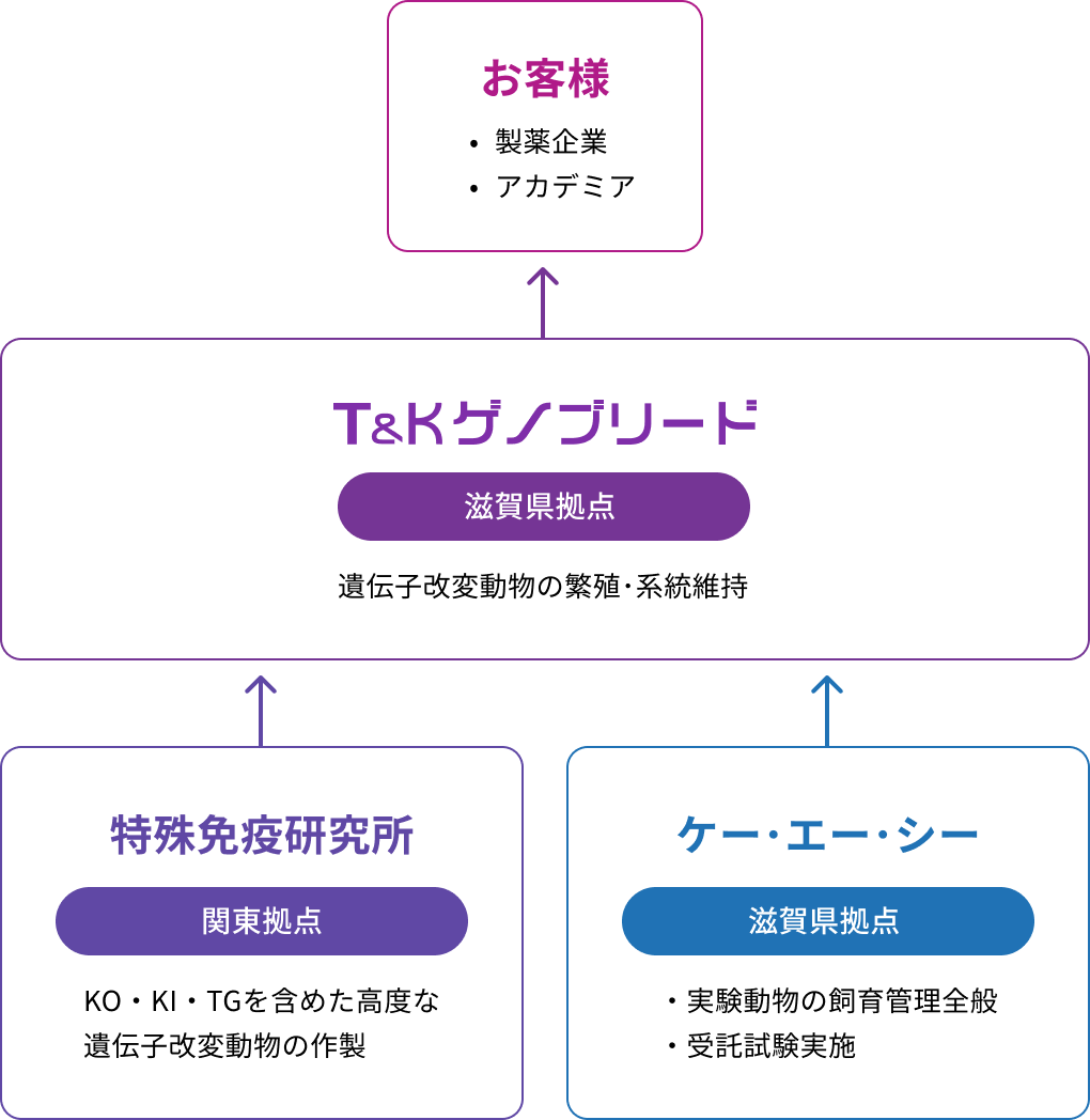 フロー図